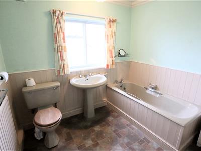 Picture 14